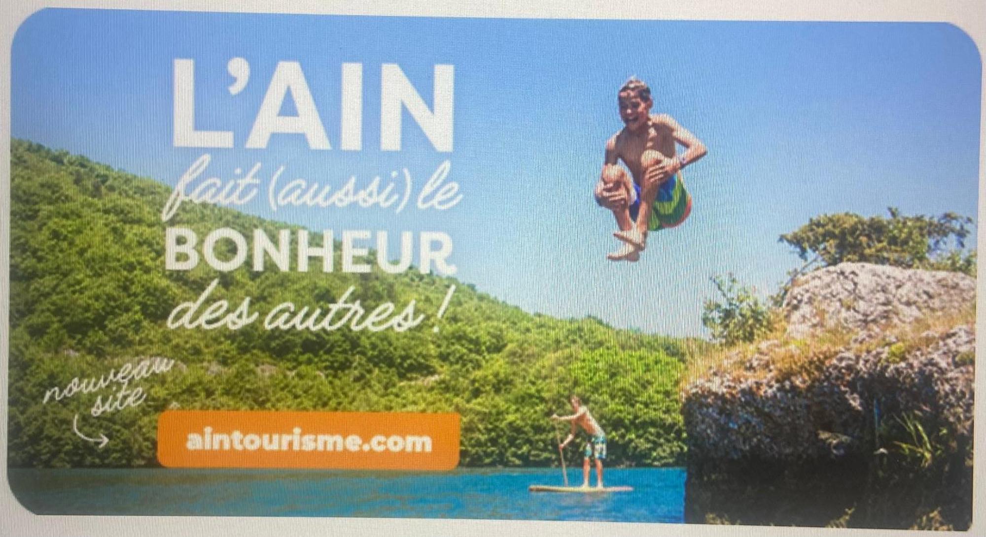 Au Chateau Saint Blaise Virignin エクステリア 写真